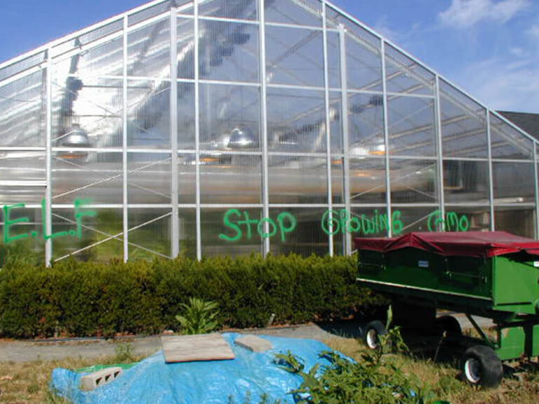 large greenhouse with “ELF” and “Stop growing GMO” spray-painted on the glass in green