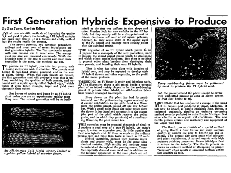 image of newspaper article