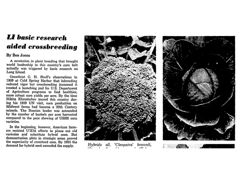 image of newspaper article