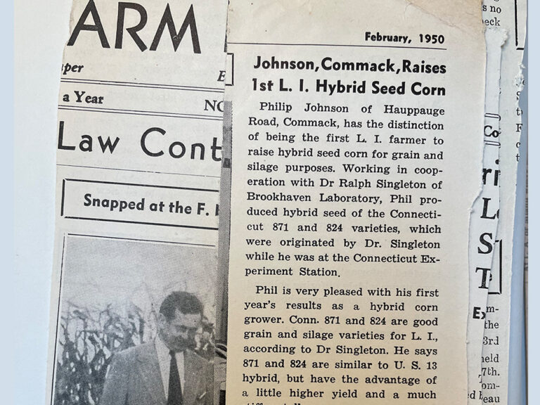 photograph of newspaper clipping