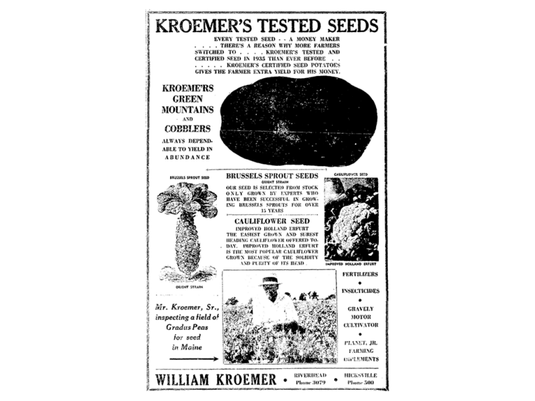 image of newspaper advertisement