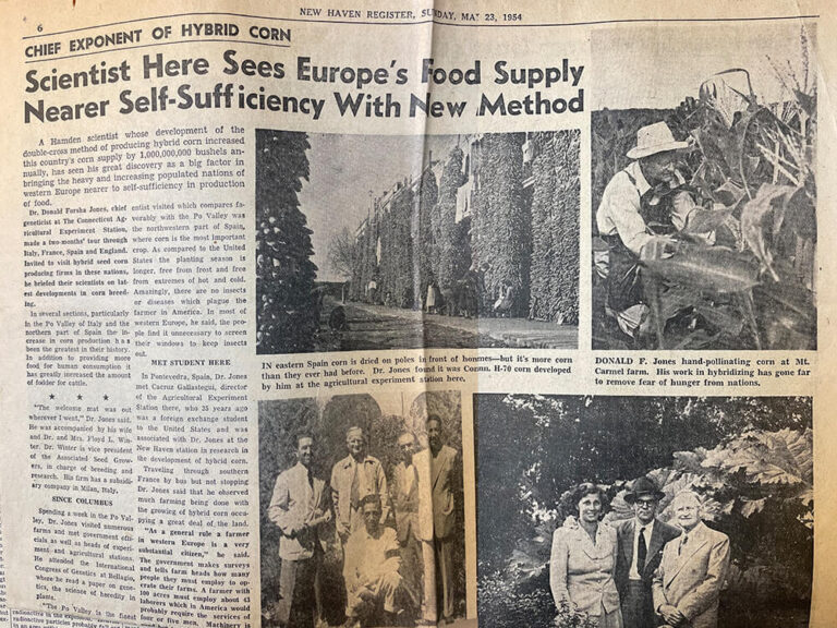 old newspaper clippings describing hybrid corn in Europe