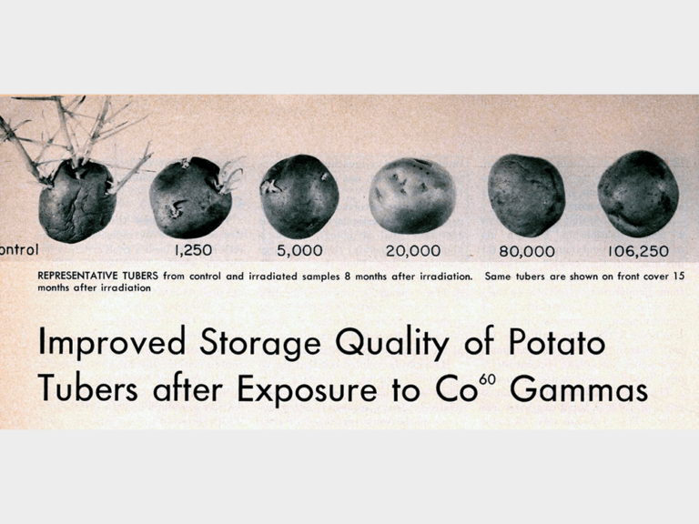 magazine clipping with a row of images of potatoes with various levels of sprouting