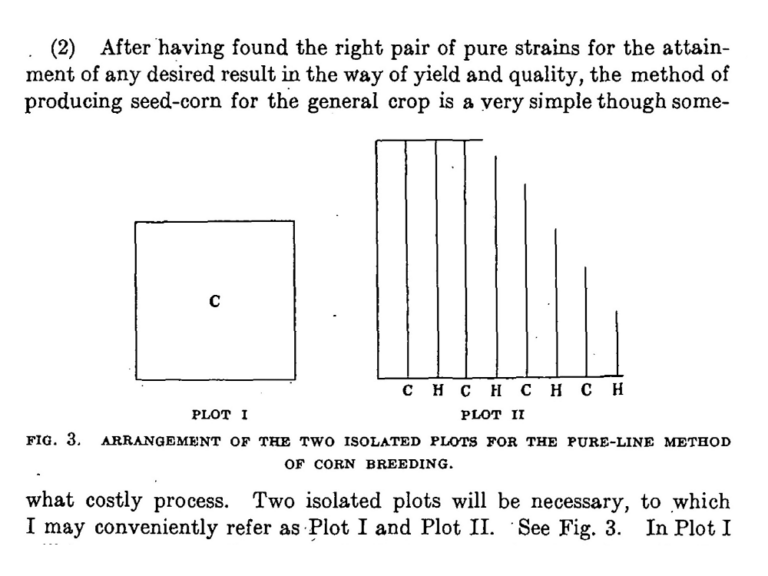 diagram from Shull’s 1909 paper about corn breeding