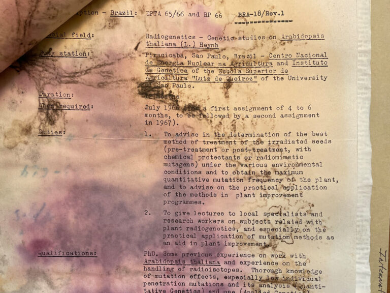 Image of water-stained typewritten letter