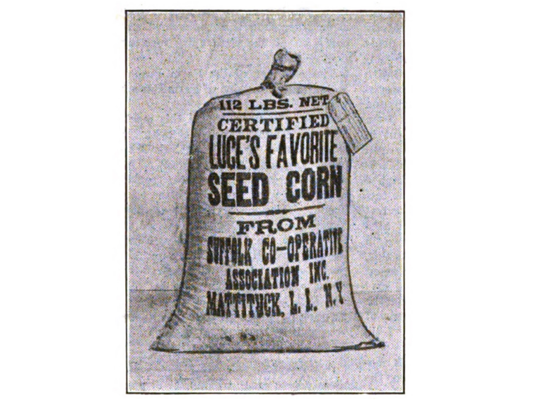a bag of corn