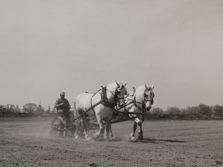 Yaphank_Farmer_Tractor