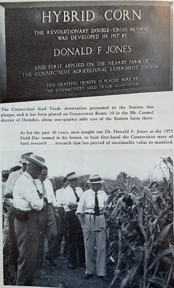 Celebrating Jones's double cross hybrid corn method