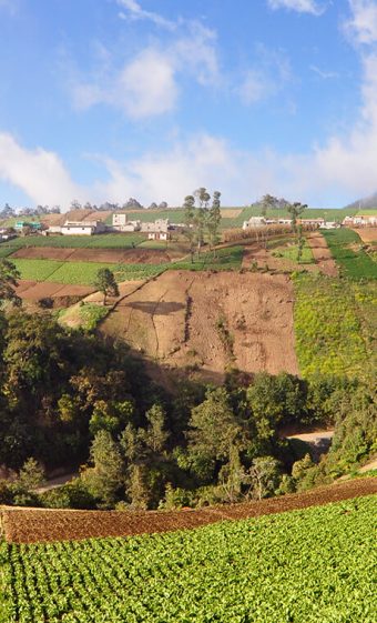 Quetzaltenango farm highlands, Guatemala, 2009.